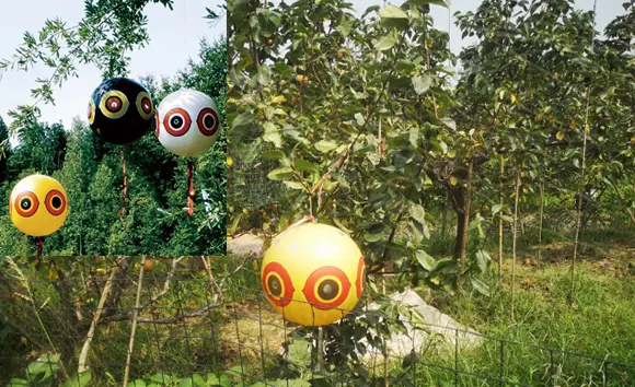 New bird pest control solution: Bird repellent balls