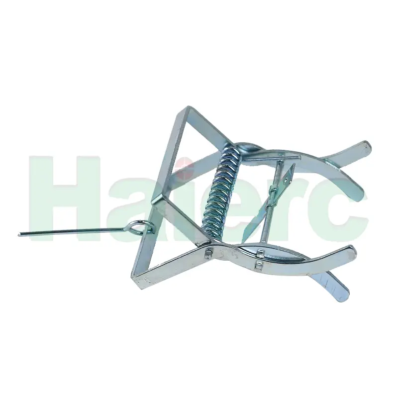 HC2403 (5)