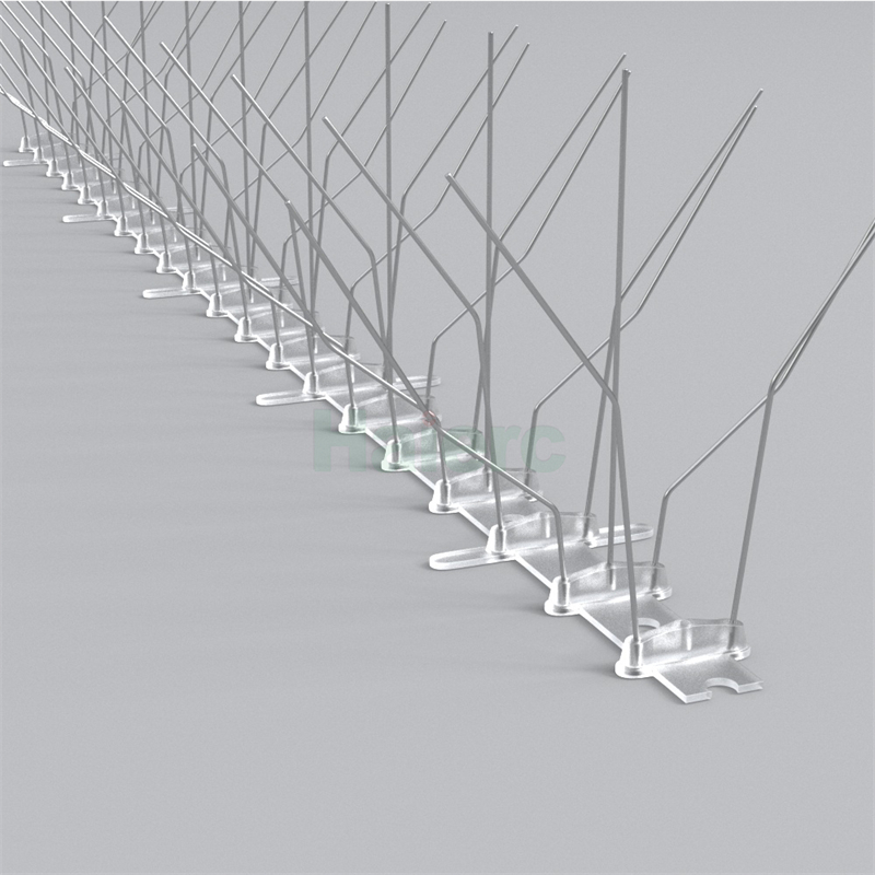 W5S-1.jpg