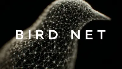 7 Essential Reasons Why the Best Bird Net is a Smart Investment for Global Buyers