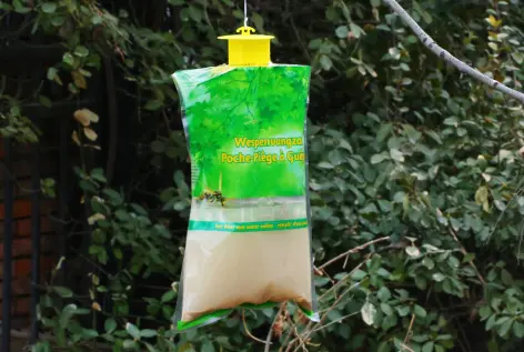 New Wasp Trap Bags Revolutionize Pest Control in Every Environment