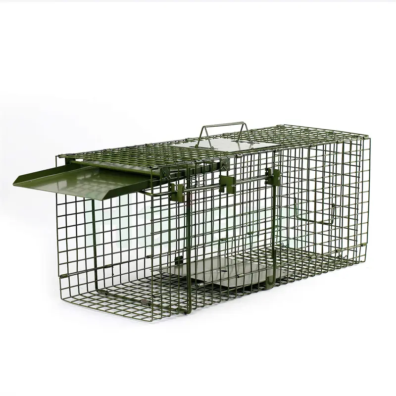 Haierc single door wild animal trap cage good quality HC2607