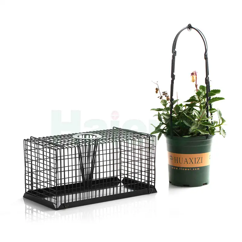 Haierc Top Enter Rat/Mouse Trap Cage ...