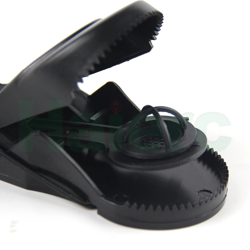 HC2212 (4)