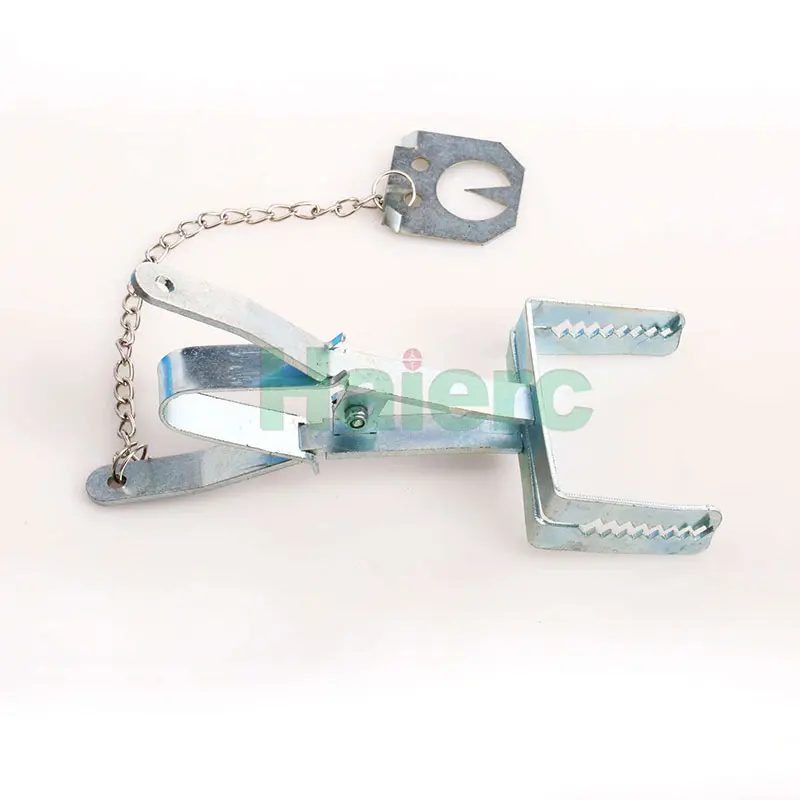 HC2401S-(2)
