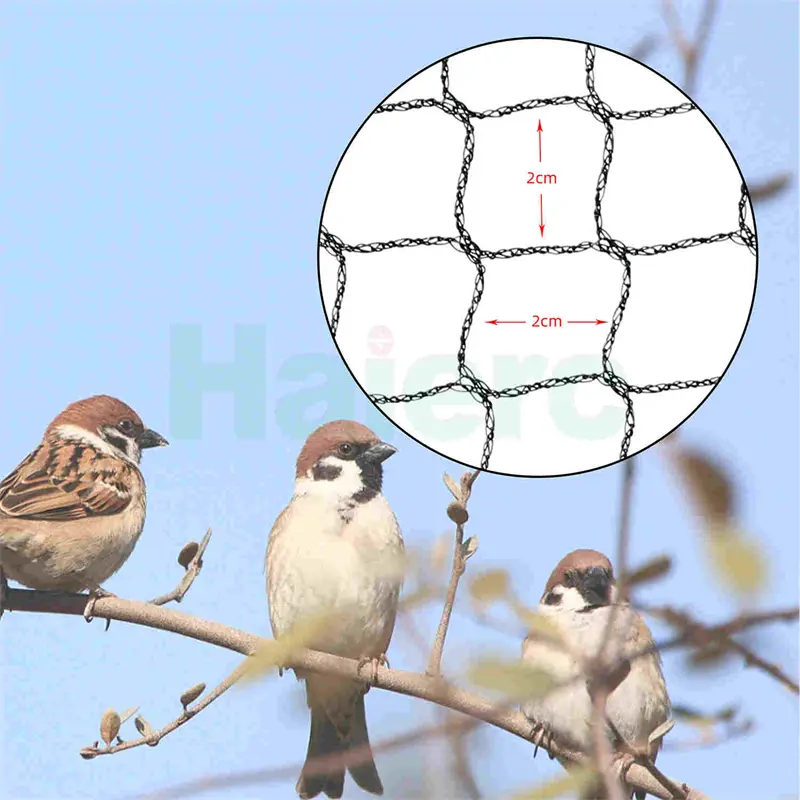 anti bird net (2)