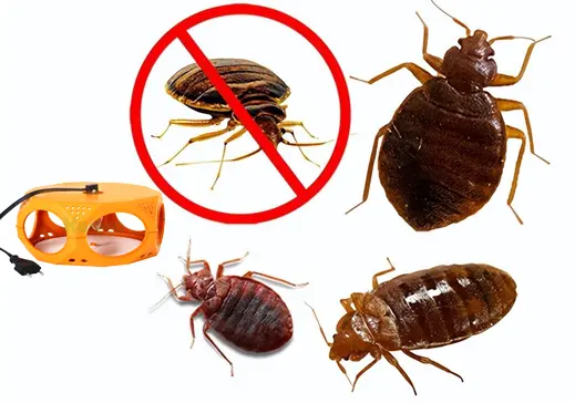 New Product Release: Haier Indoor Child-Safe Plug-In Bed Bug Trap and Multi-Function Insect Kille...