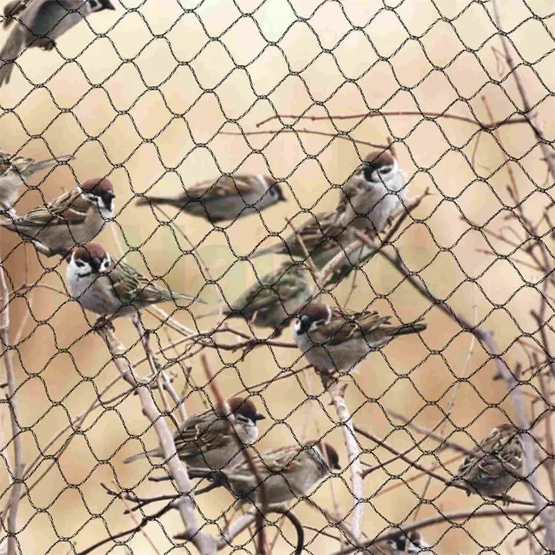 anti bird net (5)