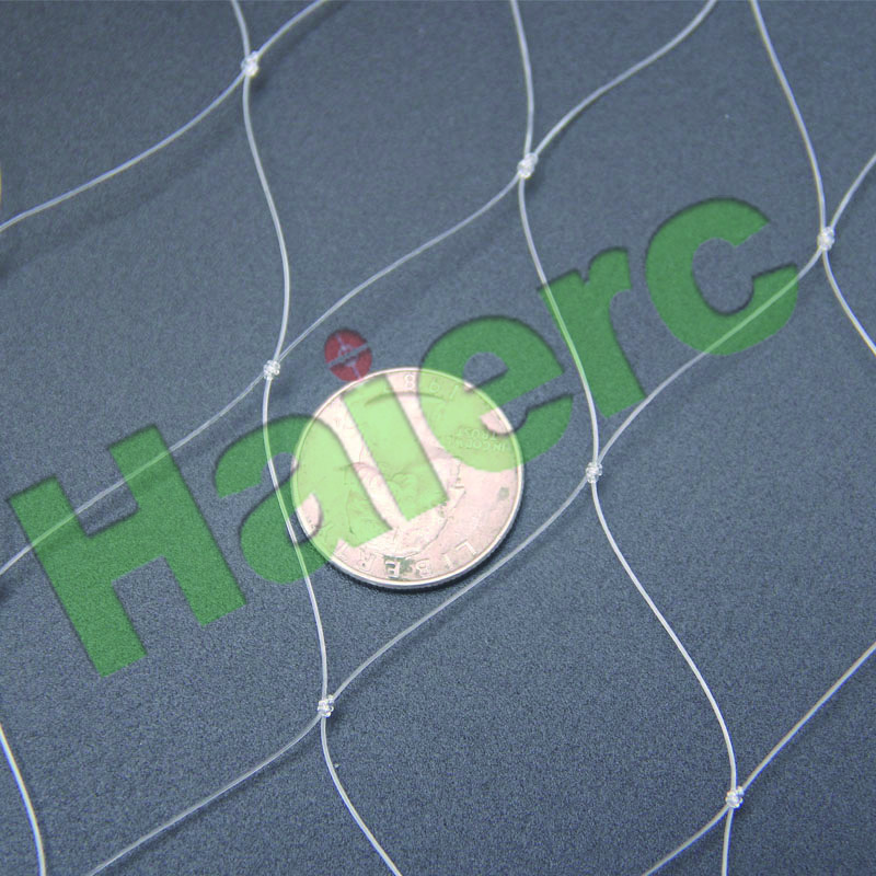 HC130906S.jpg