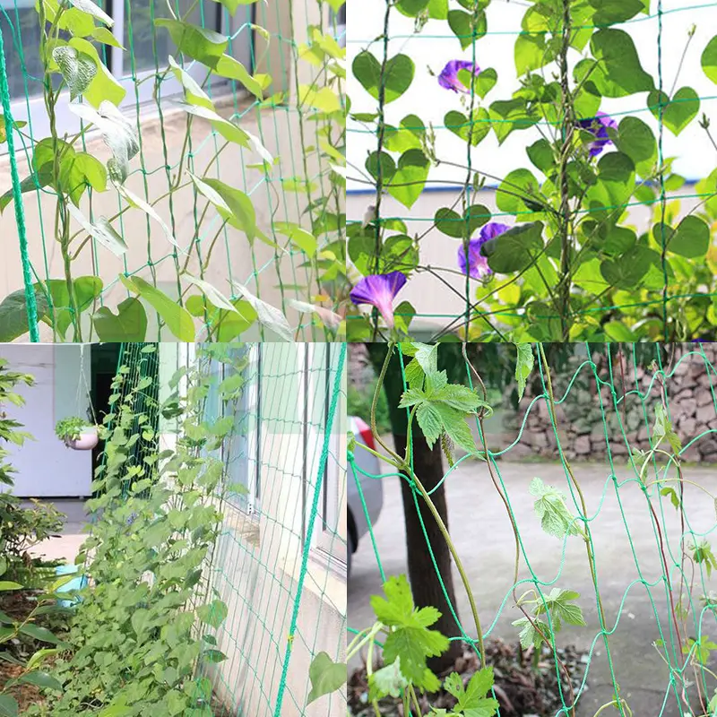 Plant Crawling Netting  (6).jpg