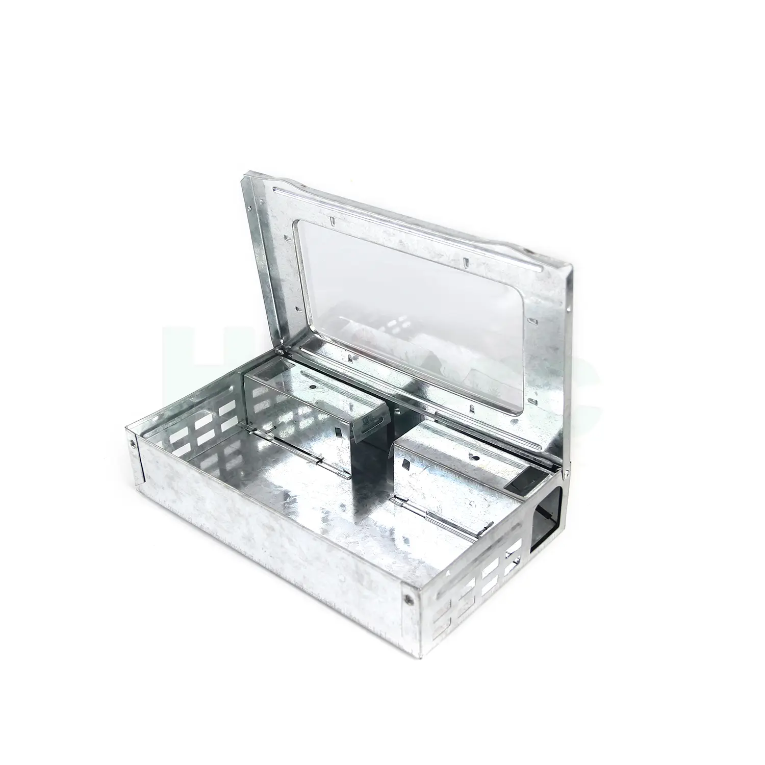 Mouse and Mouse Battle