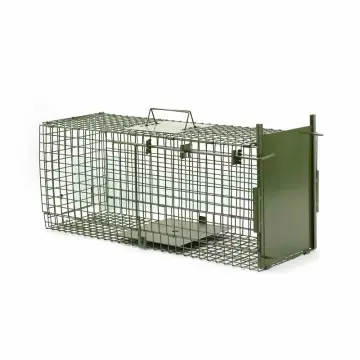 Haierc Single Door Wilde An...