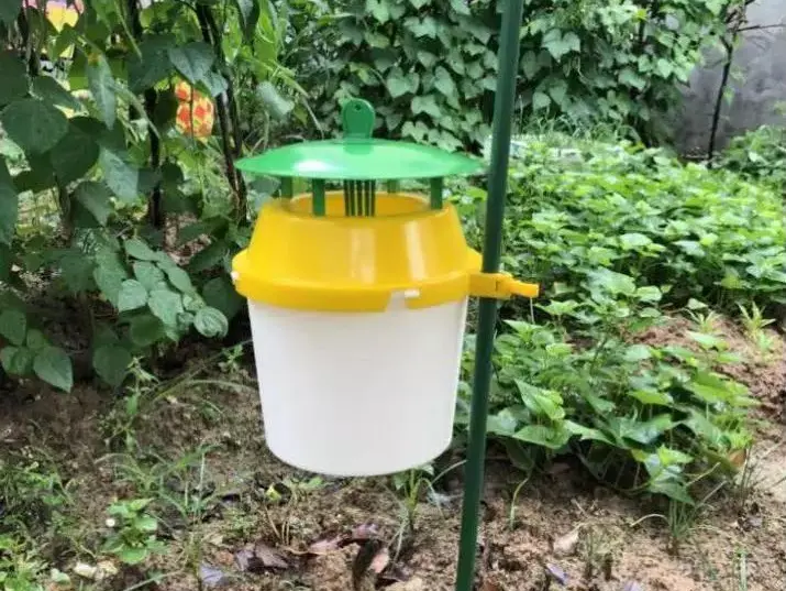 Innovative Bee, Wasp & Moth Bucket Trap: A Safe Pest Control Solution
