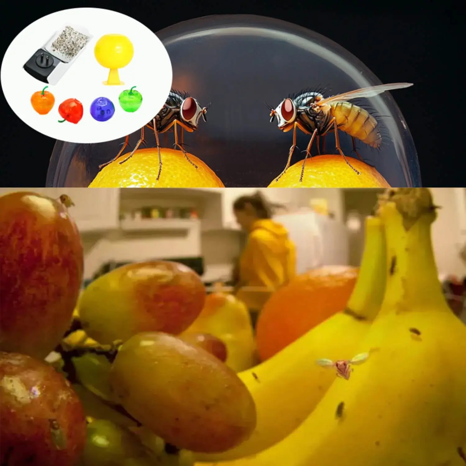 In the world of indoor fly traps, two of the most popular options for consumers to buy are the Bug Zapper Lamp and Fruit Fly Trap