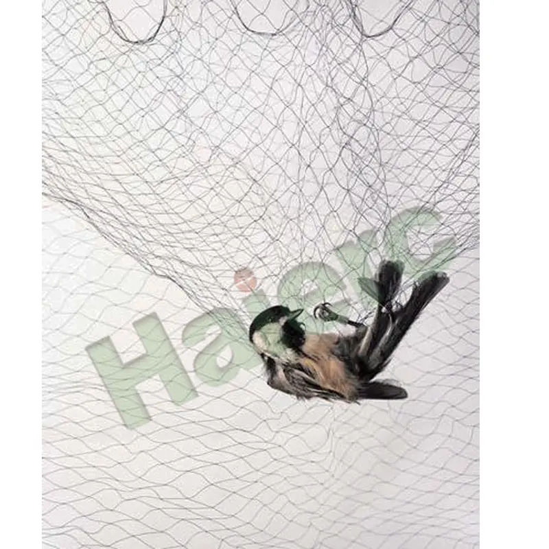 HC1401