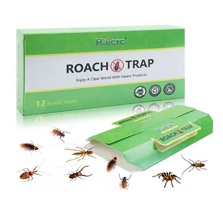 Knowledge of Pest Control: How to Get Rid of Cockroaches?