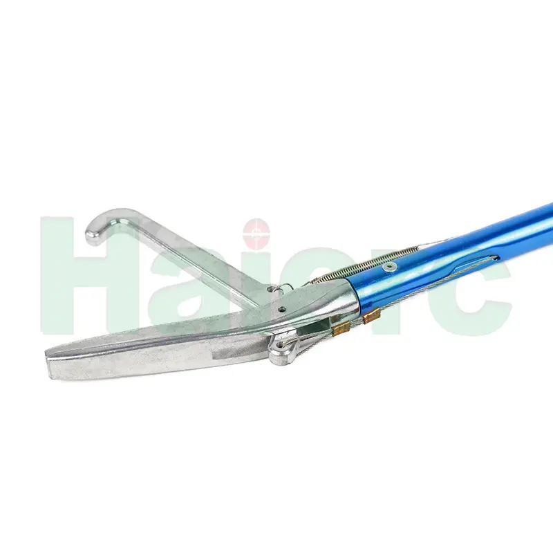 HC3101 (01).jpg