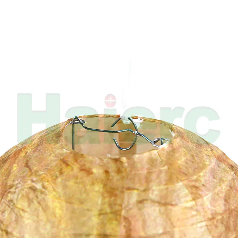 HC4707 (2).jpg