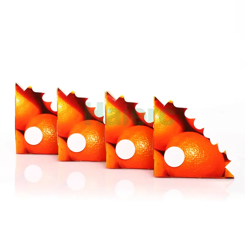 insect glue trap (2)