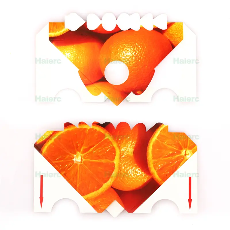 insect glue trap (7)