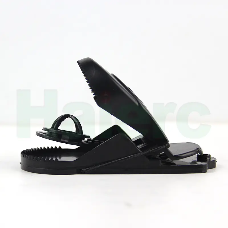 HC2212 (5)