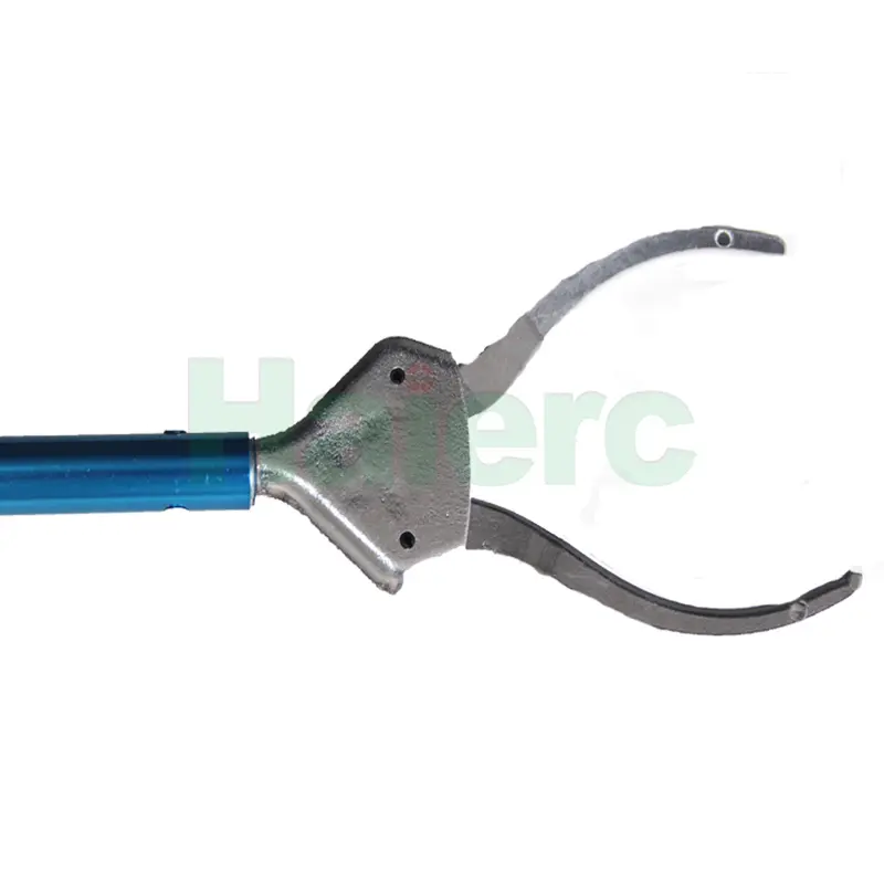 HC3106 (4)