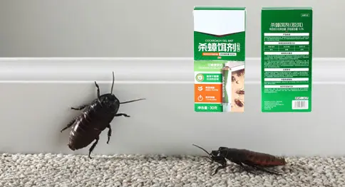 Haierc launches innovative cockroach control solution: the ultimate nemesis of drug-resistant pests