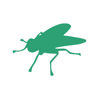 Fly Insect Pest Control