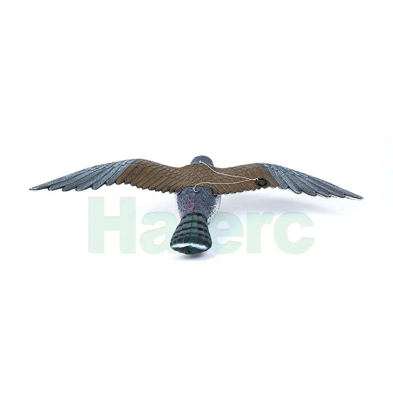 HC1603 (5)