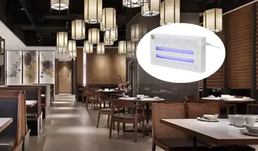 Revolutionary Insect Traps: Safe and Effective Indoor Solutions