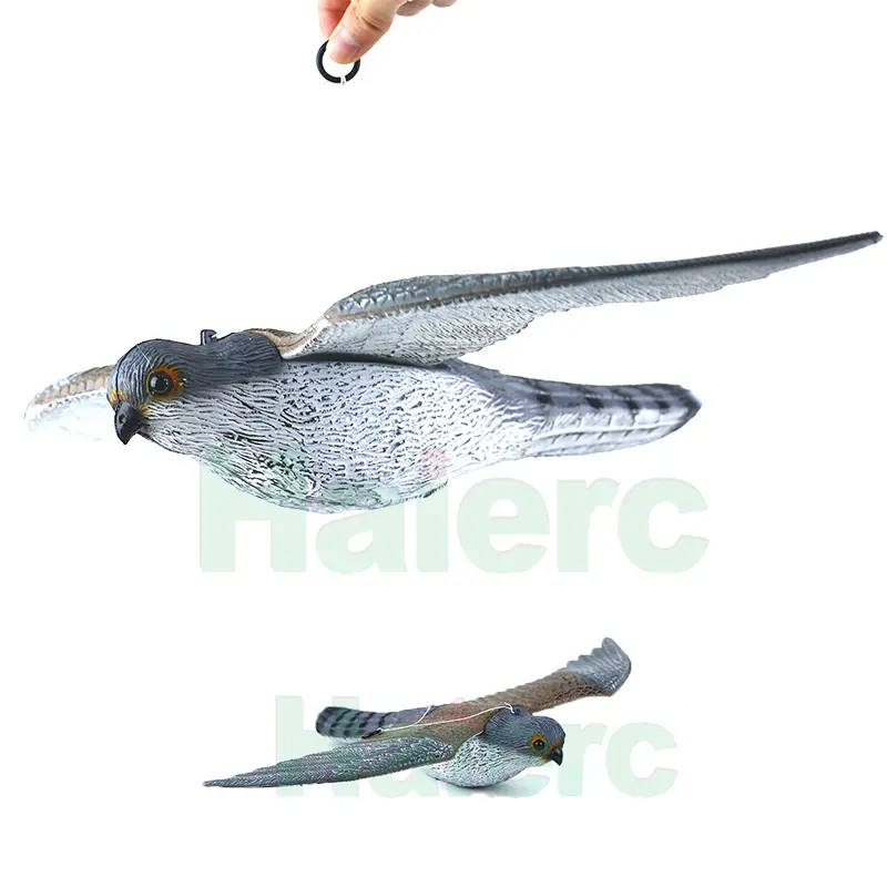 HC1603 (01)