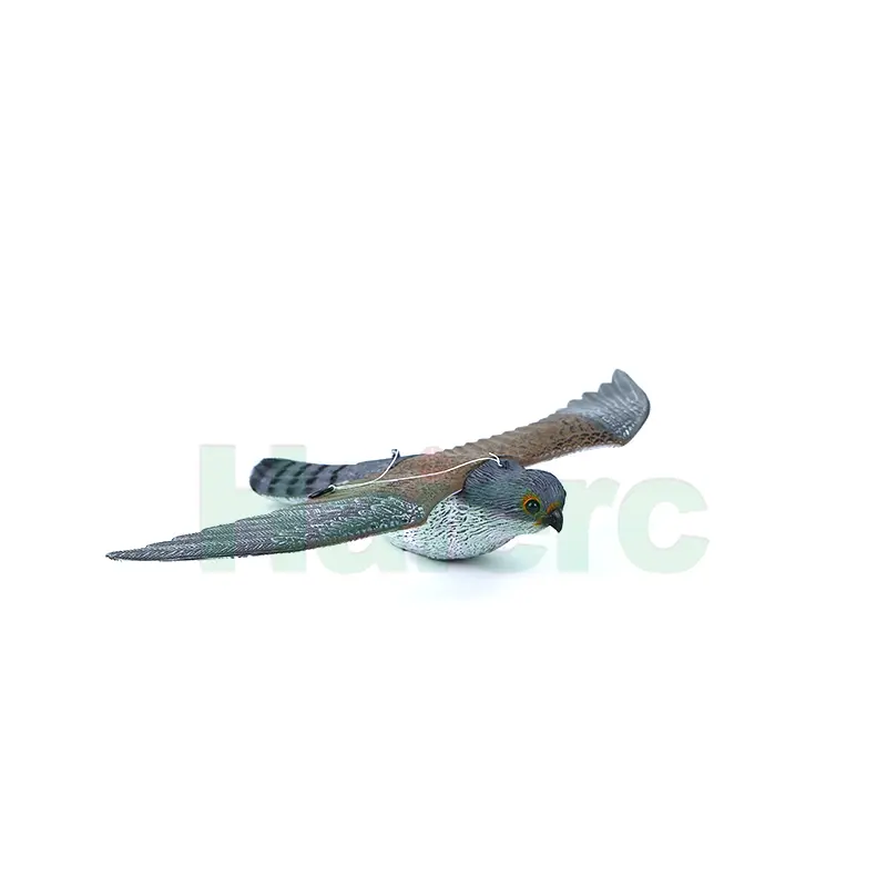 HC1603 (6)