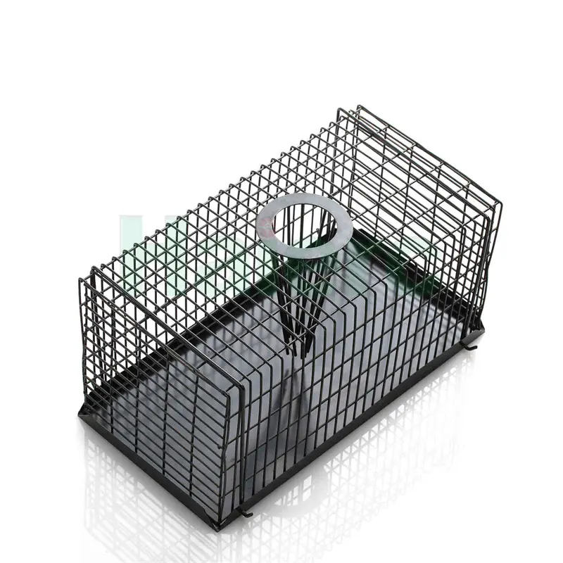 Haierc Top Enter Rat/Mouse ...
