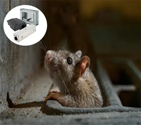Product- Mouse- Rodent Control of Trap, Bait Station, Copper Mesh, Mole Trap, Mouse Glue Trap