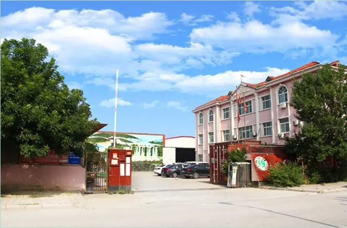 Company Profile