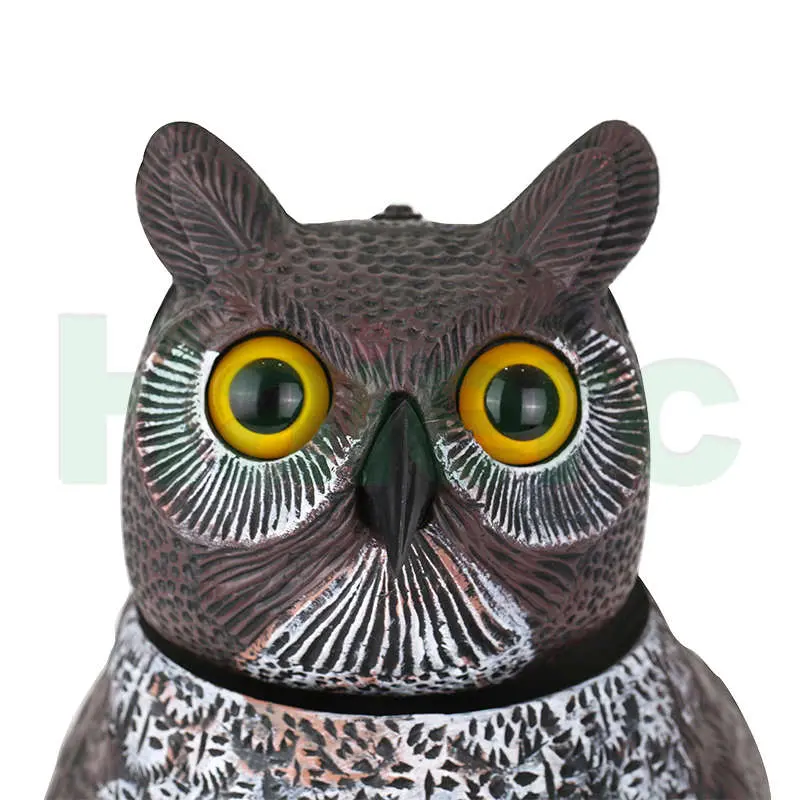 Owl Bird Control (9).jpg