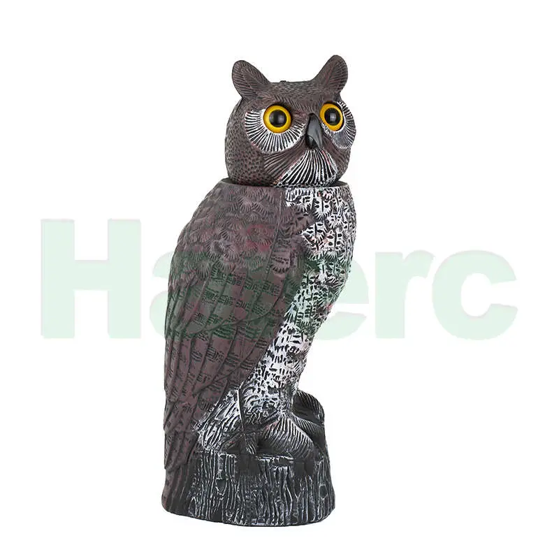 Owl Bird Control (5).jpg