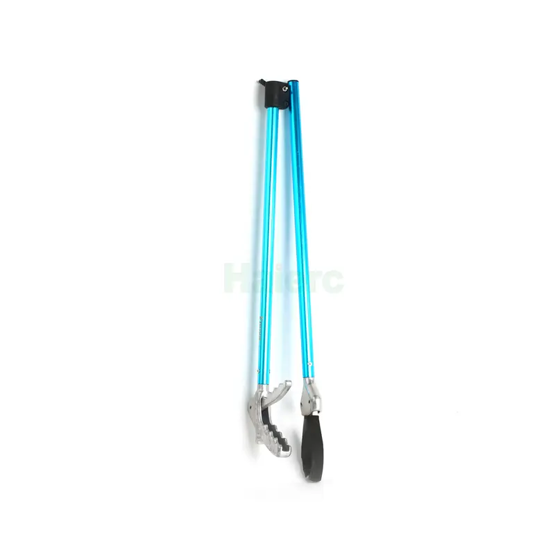 HC3106F (5)
