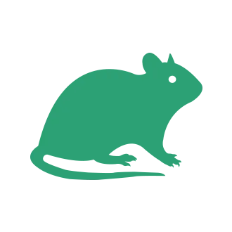 Mice & Rat Pest Control