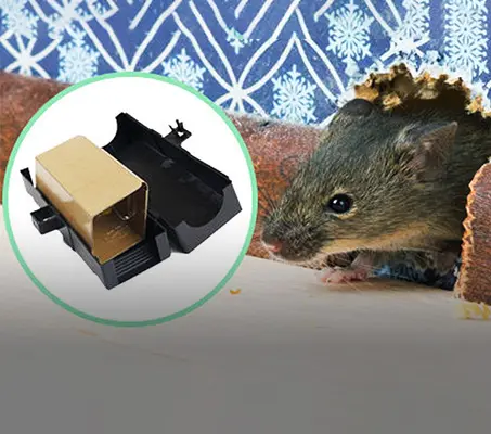 Haierc Rodent Control Products : Mouse Trap