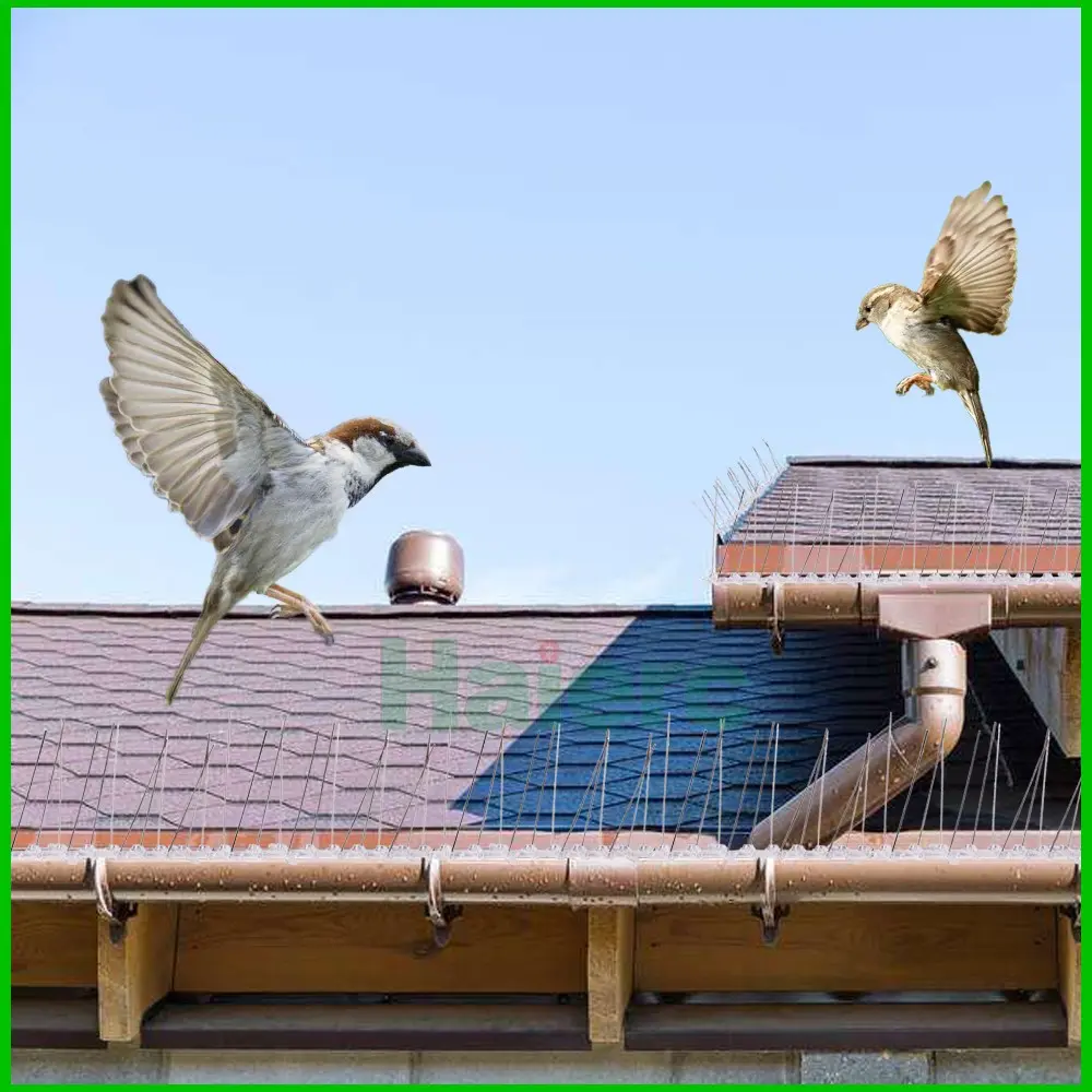 anti bird spikes (5)