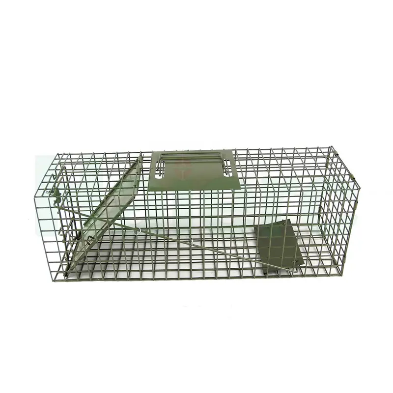 Haierc Galvanizing Wildlife...