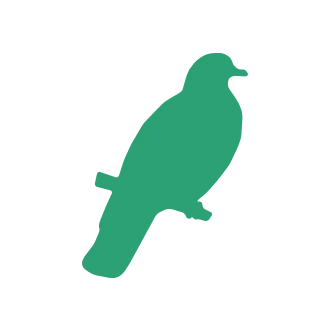 Bird & Pigeon Pest Control