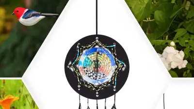 Solutions for Effective Use of Best Bird Scare Discs in Your Garden