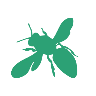 Wasp & Bee Pest Control