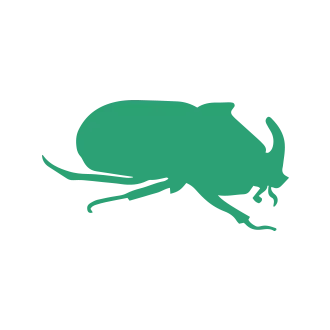 Other Insect Pest Control