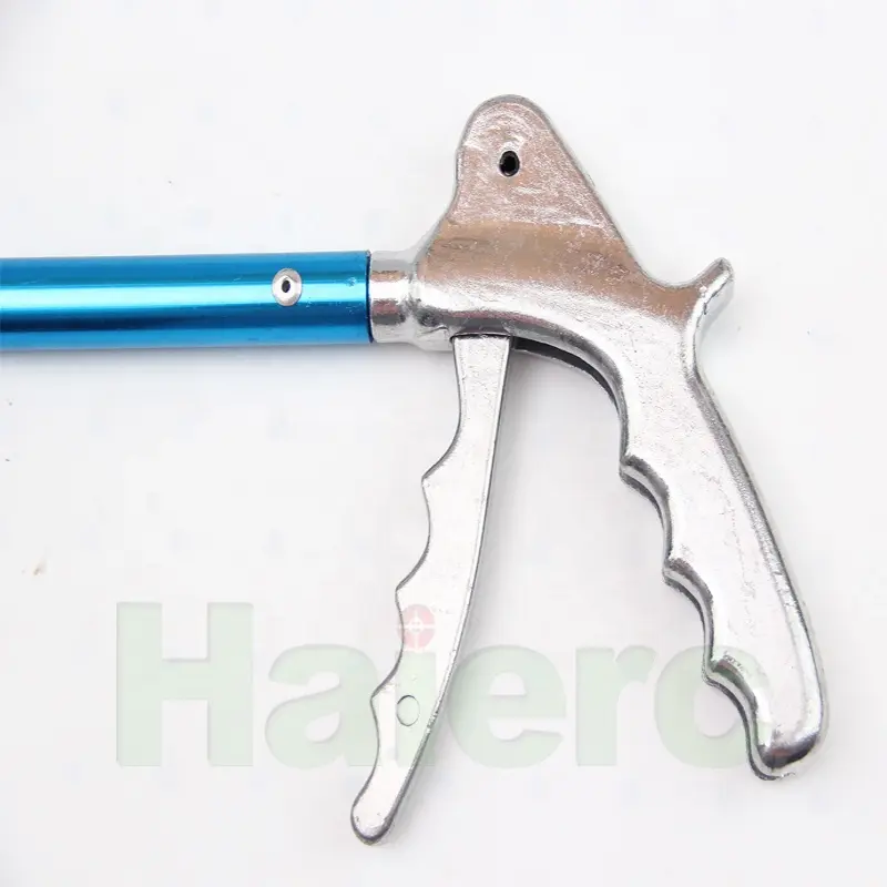 HC3101 (1).jpg