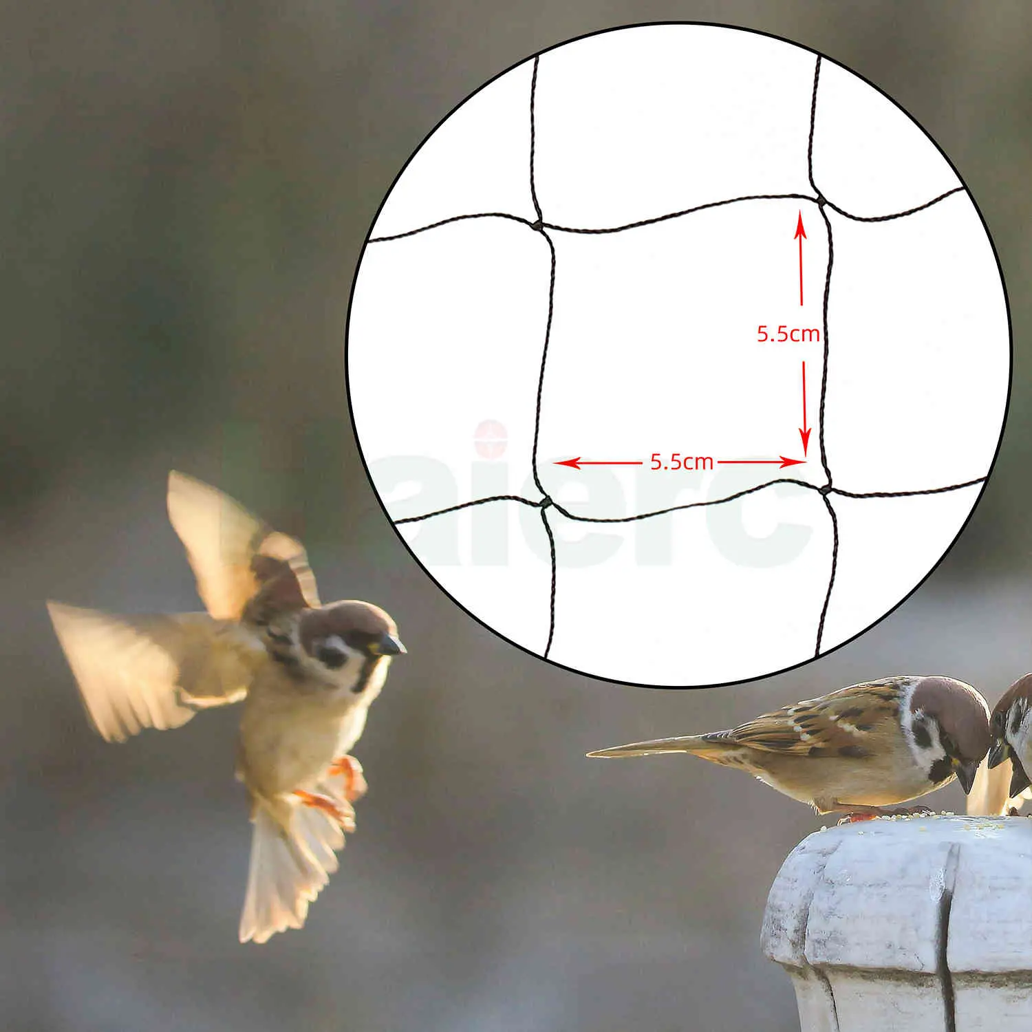 Haierc 50x50ft Light Pest C...
