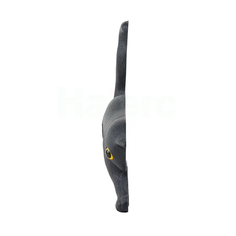 HC1639 (4)