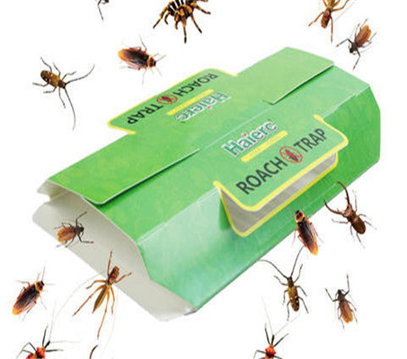 New Products- Insect Control of Cockroach with Safe Glue Trap